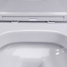 DX86C1700SC Sirius подвесной унитаз безободковый с сиденьем микролифт - DX86C1700SC Sirius подвесной унитаз безободковый с сиденьем микролифт