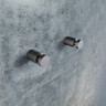Комплкект  одинарных крючков, сплав металлов, Petite, графит, IDDIS, PET2SG1i41 - Комплкект  одинарных крючков, сплав металлов, Petite, графит, IDDIS, PET2SG1i41